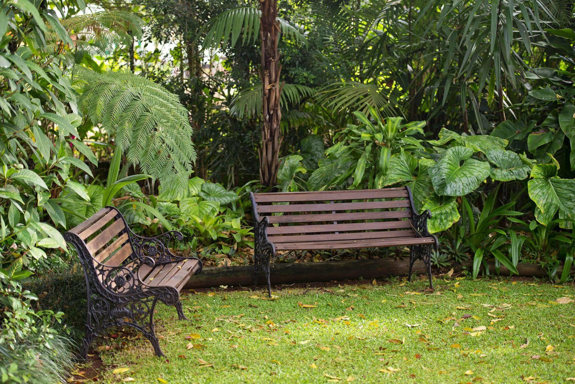 Allumbah Pocket Cottages Yungaburra Zewnętrze zdjęcie